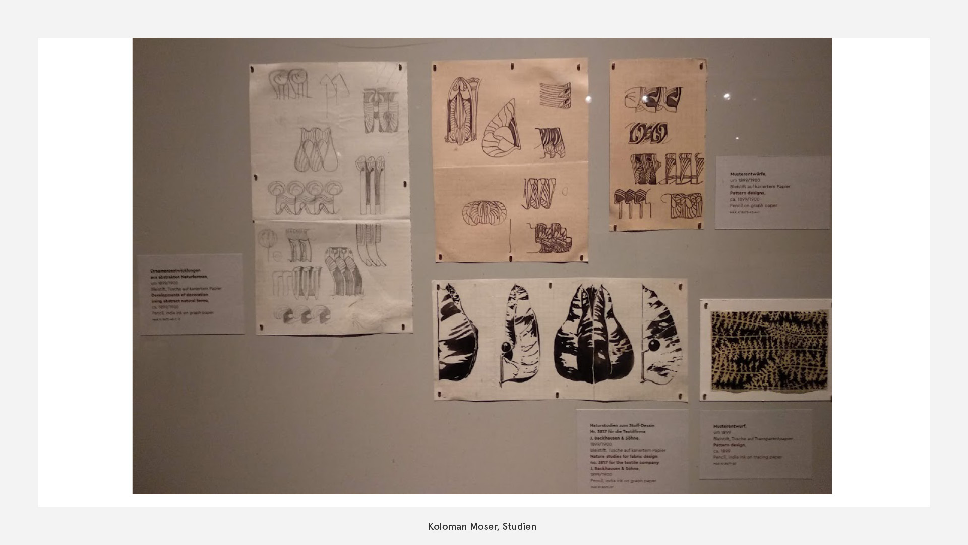 Koloman Moser, Studien