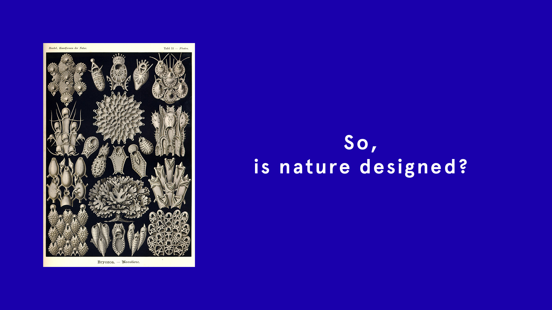Nature Designed
